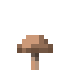 Brown Mushroom