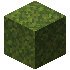 Moss Block